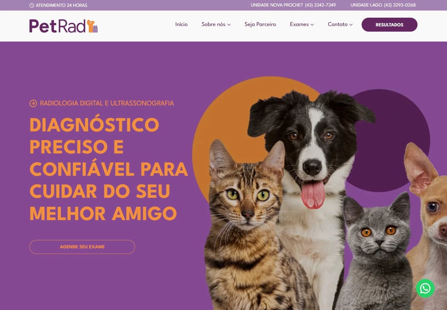 Captura real da Home de PetRad no desktop.